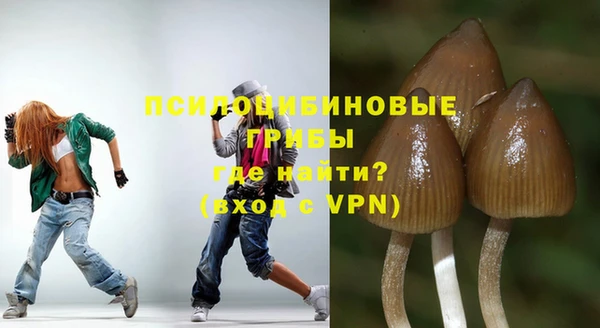 альфа пвп Бородино