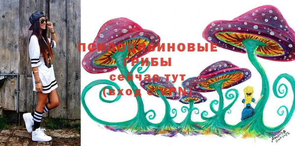 гашик Бугульма