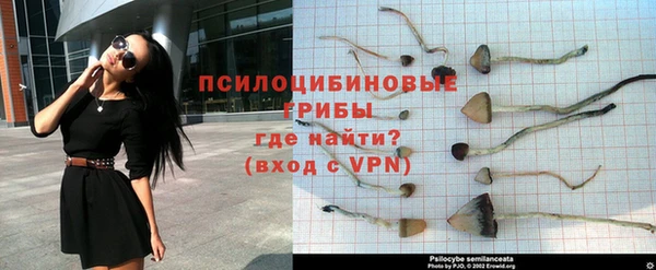 альфа пвп Бородино