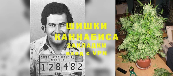 альфа пвп Бородино
